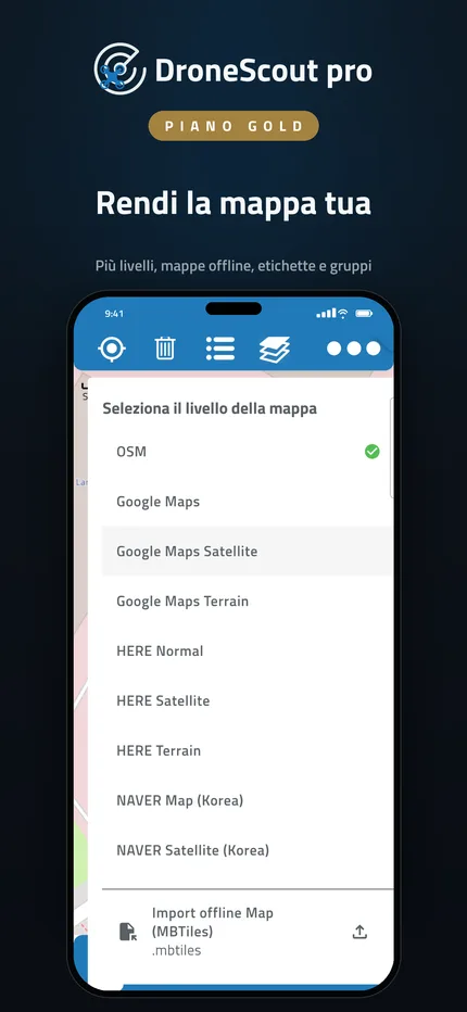 Livelli della mappa e mappe offline